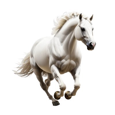 _fy_w's profile picture. 家のネジ全部外してみた🎠｜❌新規❌｜@_fy_t｜卓ほか好きなもの👑｜⚠️しばらくKP未定の手繋ぎ❌としてます⚠️