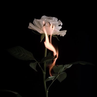 yathさんのプロフィール画像