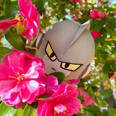 しあまるさんのプロフィール画像