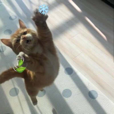 AngelaQdm10's profile picture. 