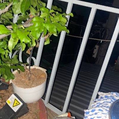 Jimmy829319's profile picture. 