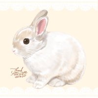 シュクレ🐇 ⸝⋆⸝⋆ (@sucre_usagi) 's Twitter Profile