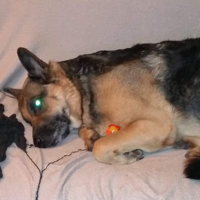 Andrus50895435's profile picture. 