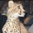 whhm_99's profile image