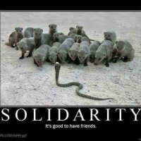 Orksociety (@orksociety) 's Twitter Profile Photo Orksociety (@orksociety) 's Twitter Profile Photo