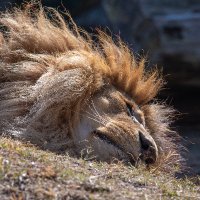 maakun (@masahiromaakun) Twitter profile photo