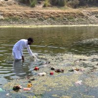 SUNDRAM TIWARI (@kisansundram) 's Twitter Profile