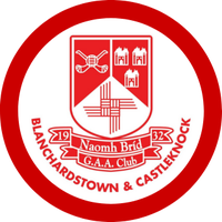 St. Brigid's GAA (@stbrigidsgaa) 's Twitter Profile