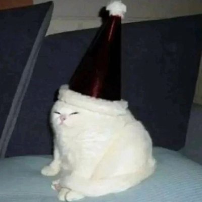 Pythonregius's profile picture. 🐸