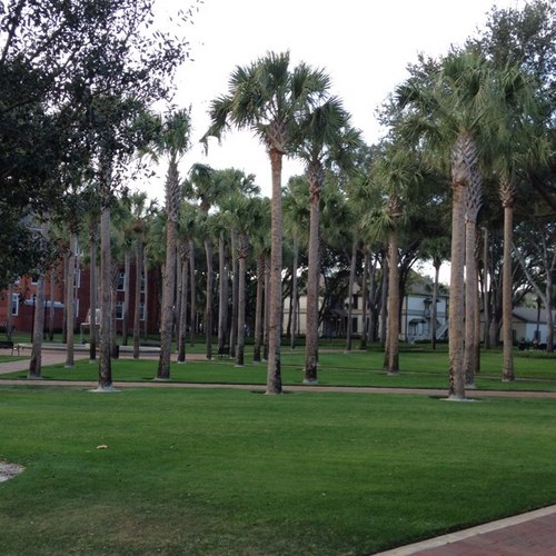 Stetson University's Official Green Twitter Account. Dedicated to updating the public on green-related environmental programs, initiatives, & events on campus.