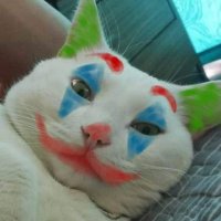 Jordy (@jordygreg) 's Twitter Profile Photo Jordy (@jordygreg) 's Twitter Profile Photo