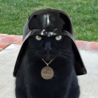 Liquid (@bemyexitliquid) 's Twitter Profile