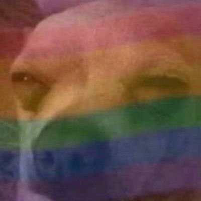 Frigie🧊 | 🇨🇳中文/Eng(use translator) | 🌈they/them | 🏹aroace♠(aego) | 🎨📺🎮multi-interest/fandom | 💫ND | ♌20+adult | maybe dni I'm socially awkward😖