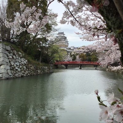 akumakamo1's profile picture. ミルクティー最高=͟͟͞͞ \(`ᾥ’ )/=͟͟͞͞ \( `)/=͟͟͞͞ \( `ᾥ’)/ｳｫｫｫ