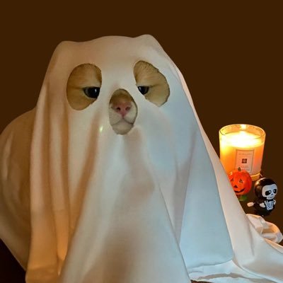 gnmlgb9's profile picture. 看什么看，滚！