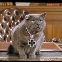 Ze Gustav Sponsz (@gsponsz) 's Twitter Profile Photo Ze Gustav Sponsz (@gsponsz) 's Twitter Profile Photo