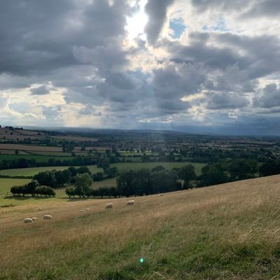 MrCreosote5's profile picture. Dad to 5 kids, designer and architect.