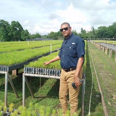 Ing.Agroforestal,
EncargadoDepartamento de Industrialización y Comercio de Productos Forestales
Ministerio de Medio Ambiente, RD