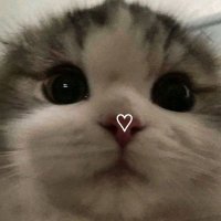 Elena (@misleidisrios) 's Twitter Profile