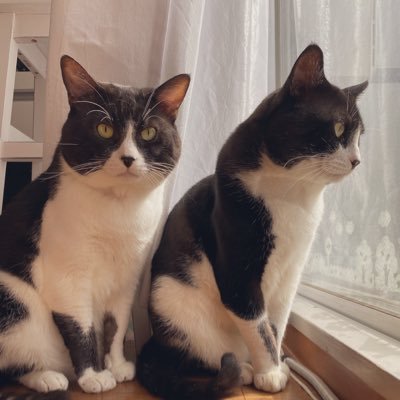 yukigusaさんのプロフィール画像