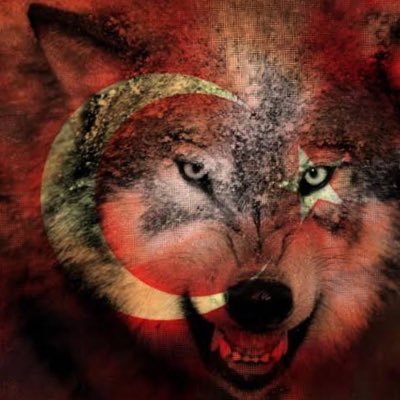 fehmiozsevim's profile picture. 