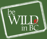 Be Wild In BC is the place to plan your next BC wilderness vacation or adventure. Find wilderness lodges/resorts, exciting trips or relaxing getaways in BC.