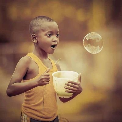 QOseko's profile picture. 