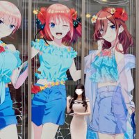 麻衣ᙏ̤̫͚*⑅ (@alice_drop0804) 's Twitter Profile