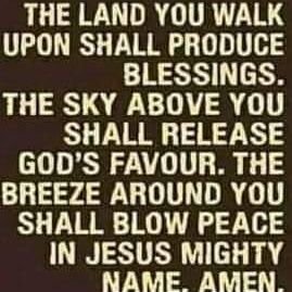 #Web 3 / Airdrop /Crypto /Raiding/Betting…you don’t need to be told that God is supreme.#Chelsea 💙