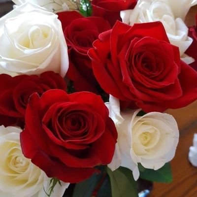 I wish I had musical talent, but I'm more of a bookworm. I love reading and writing poetry💐🌼🌺