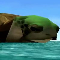 The Wizard (@milisdaio) 's Twitter Profile Photo