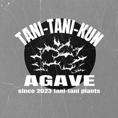 asu80008's profile picture. アガベ沼にハマりました。無言フォローすみません🙇