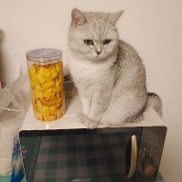 雪碧爱生活(互fo💯) (@everything13231) 's Twitter Profile