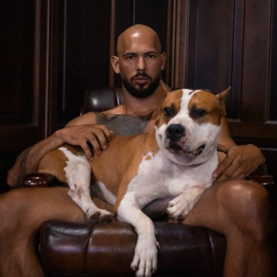 DogTopg6799's profile picture. Andrew Tate's Dog "G" 
He will never bite him or betray him
"Be loyal to your BOSS"