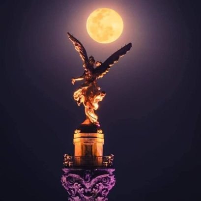 GerardoGar52560's profile picture. 