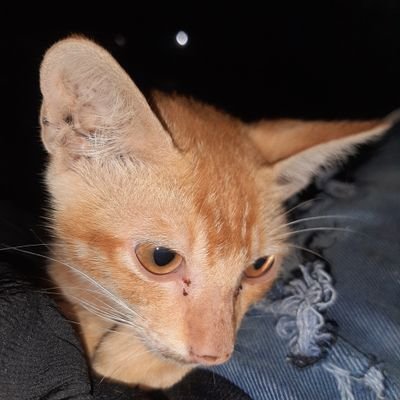 YouLove1820's profile picture. 