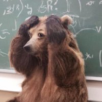 Eduardo 🐻 (@dowafps) 's Twitter Profile