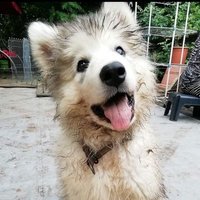 S5maya ex 7thAngel (@s5maya) 's Twitter Profile