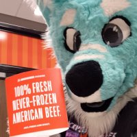 SlusheeWolf2 (jRPG Wolf) (@slusheewolf2_0) 's Twitter Profile