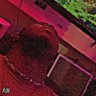 King Darkos