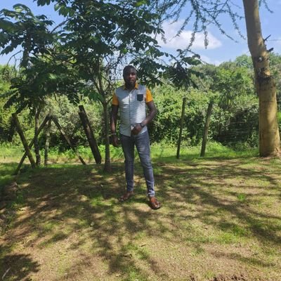 KhanRaphh's profile picture. 94