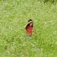 منيرة (@munirajeee) 's Twitter Profile