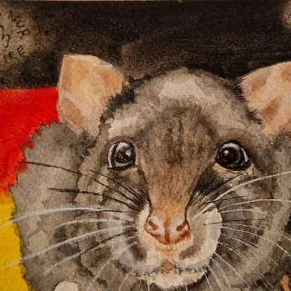 jason6469667248's profile picture. 