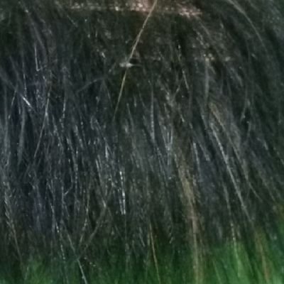 LiadraSang24239's profile picture. senang bersenda gurau