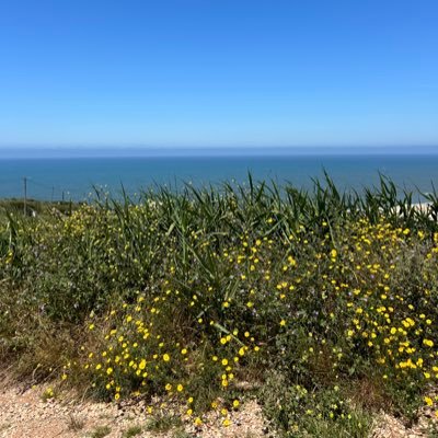 con11500's profile picture. 