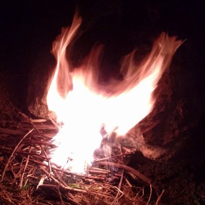 amysoyka's profile picture. 🌳🌏🕊️

Like!=Agree/Endorse.
Phoenixes don't die when burnt;
They rise up from out of the ashes.