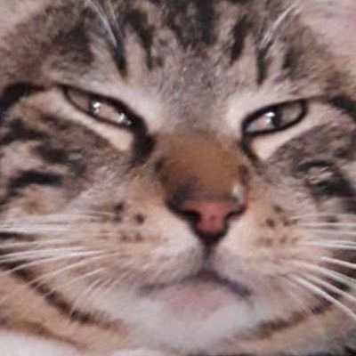 cadillac4L's profile picture. 