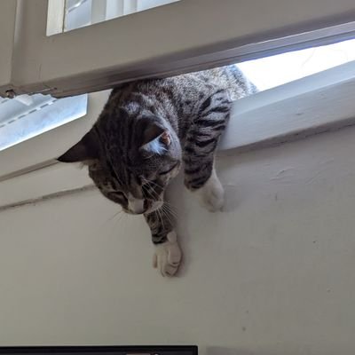 NatiR12345's profile picture. 