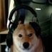 Matt ⛈️ (@astenomatt) Twitter profile photo Matt ⛈️ (@astenomatt) Twitter profile photo