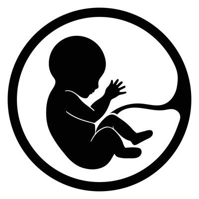 Protecting the Unborn Babies and Remembering the Unborn Babies that Have Been Aborted. Well Over 65,000,000 Abortions and Counting Since 1973.